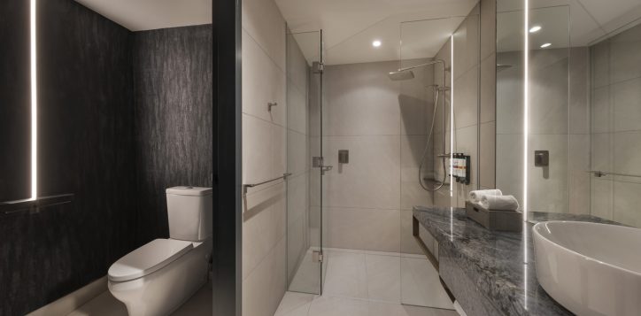 bathroom-toilet-connected-2-2